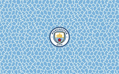 爱游戏体育焦点-利物浦女足点球手冷静如冰