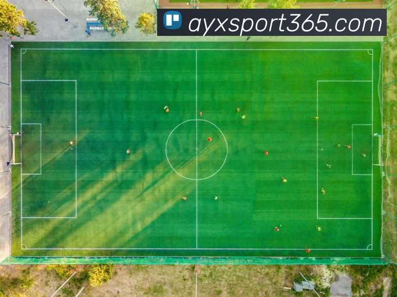 AYX体育APP 封面图